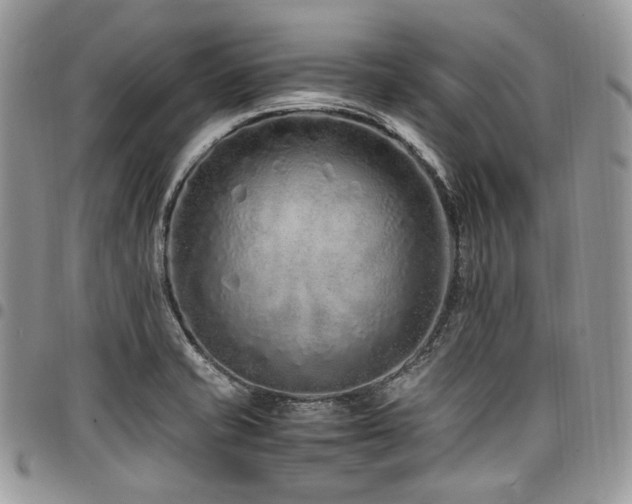 X0000098021421200803281324