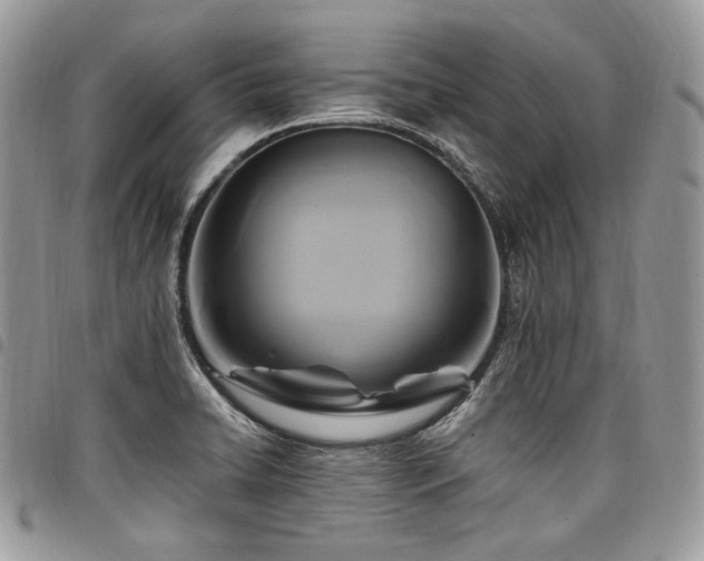 X0000098021422200803281324