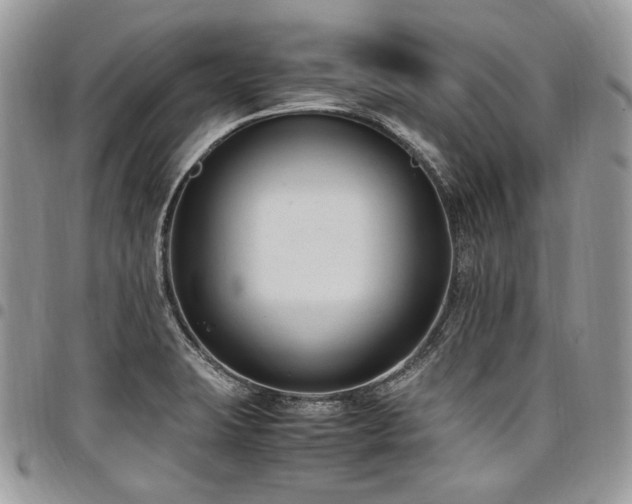 X0000098021423200803281324