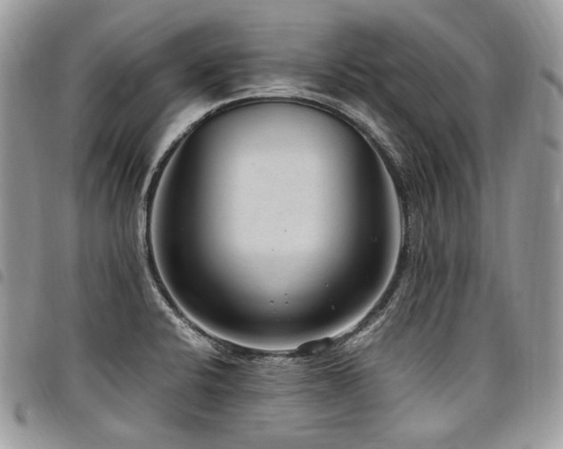 X0000098021424200803281324