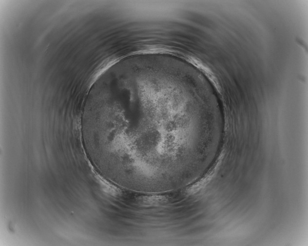 X0000098021425200803281324