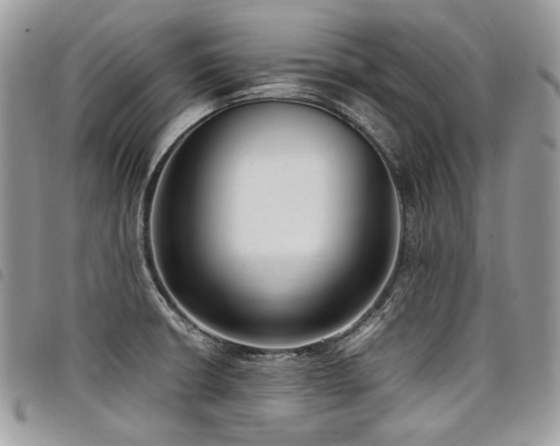 X0000098021426200803281324