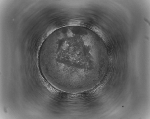 X0000098021427200803281324