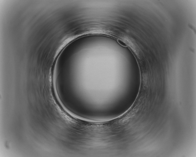 X0000098021428200803281324