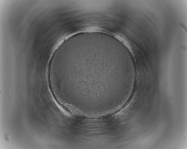 X0000098021429200803281325