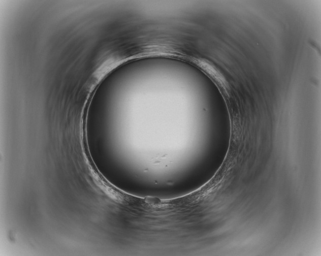 X0000098021431200803281325