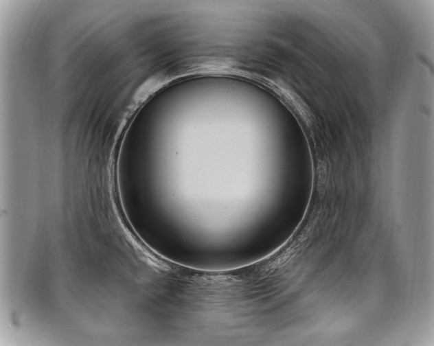 X0000098021432200803281325