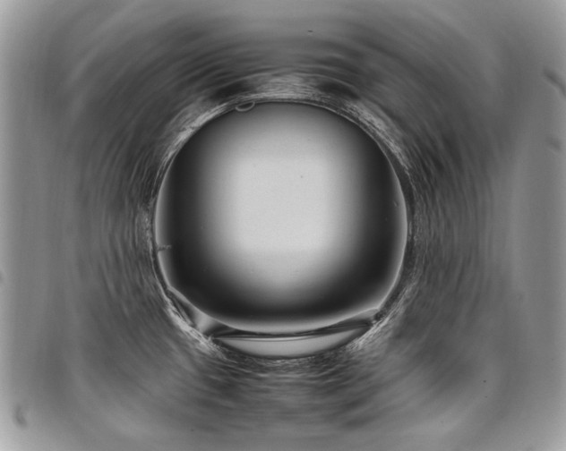 X0000098021433200803281325