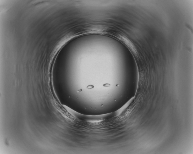 X0000098021435200803281325