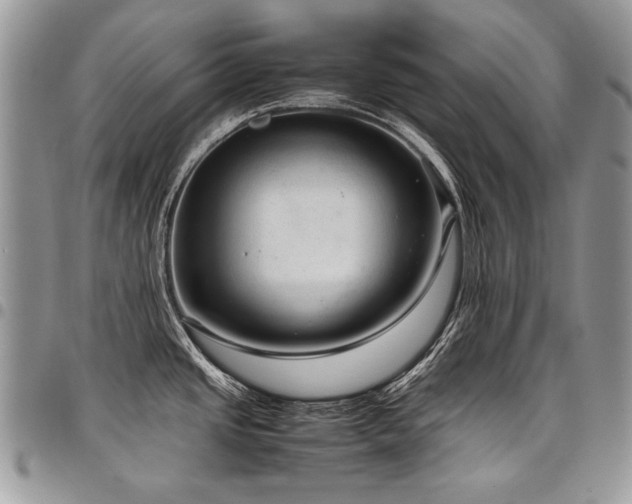 X0000098021437200803281325