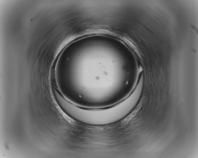 X0000098021438200803281325