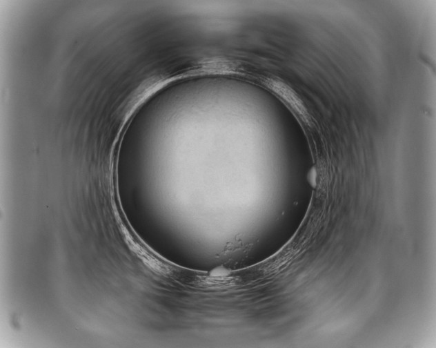 X0000098021439200803281325