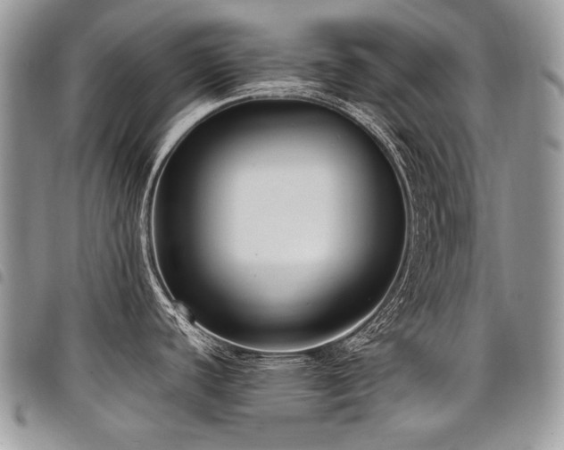 X0000098021440200803281325