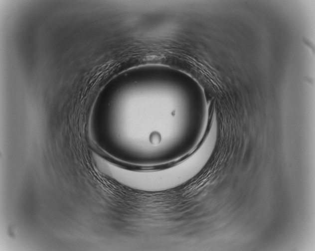 X0000098021441200803281324