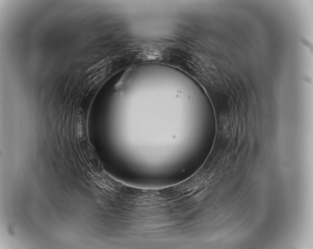 X0000098021442200803281324