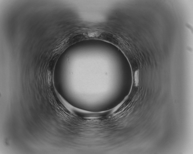 X0000098021443200803281324