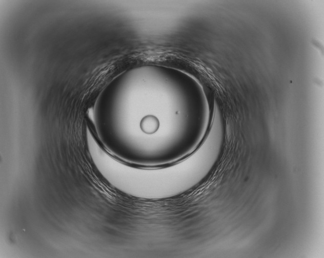 X0000098021444200803281324