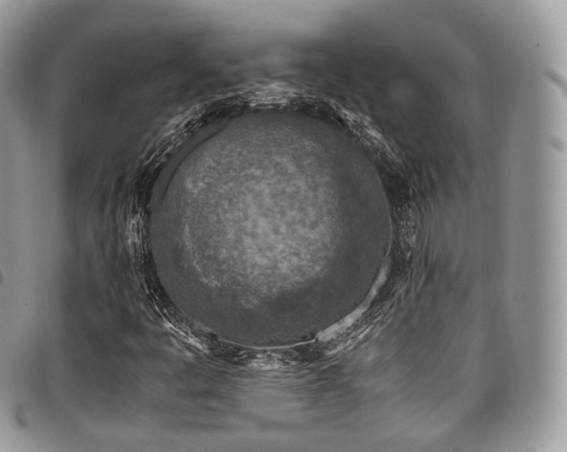 X0000098021445200803281324