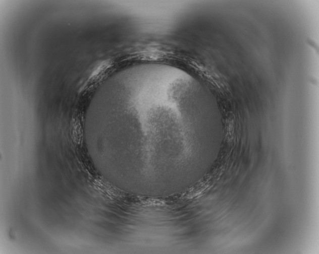 X0000098021446200803281324