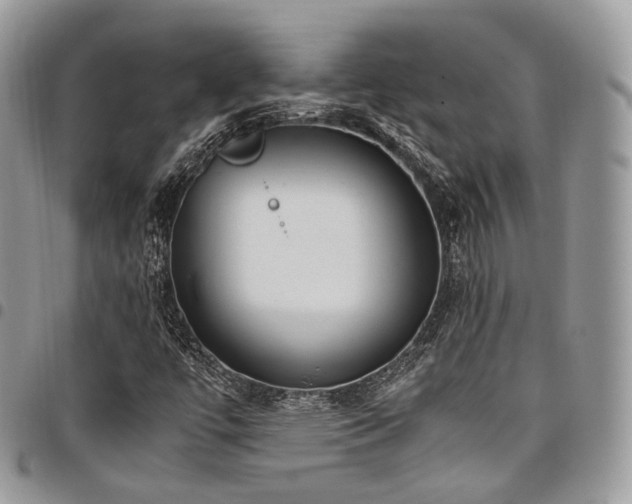 X0000098021447200803281324