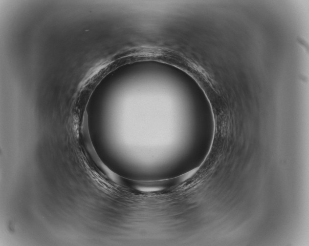 X0000098021448200803281324