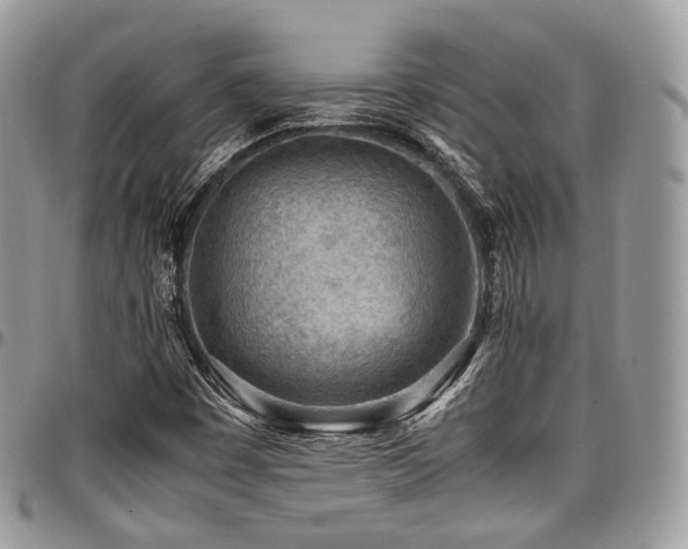 X0000098021449200803281324