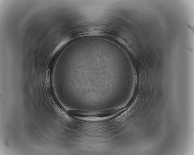 X0000098021450200803281324