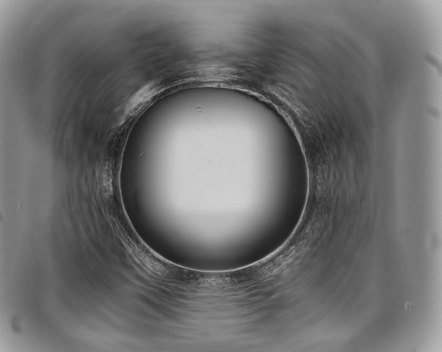 X0000098021451200803281324