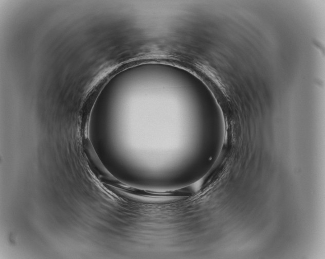 X0000098021452200803281324