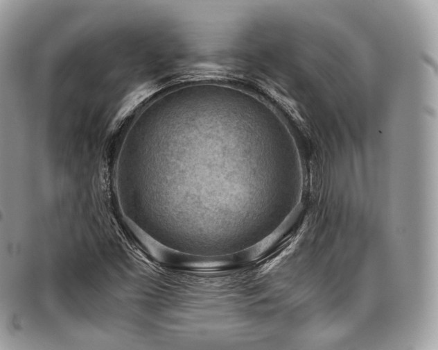 X0000098021453200803281324