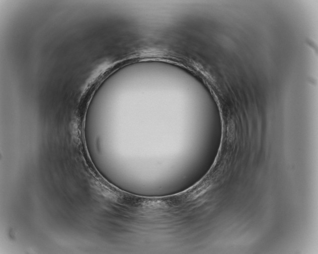 X0000098021454200803281324