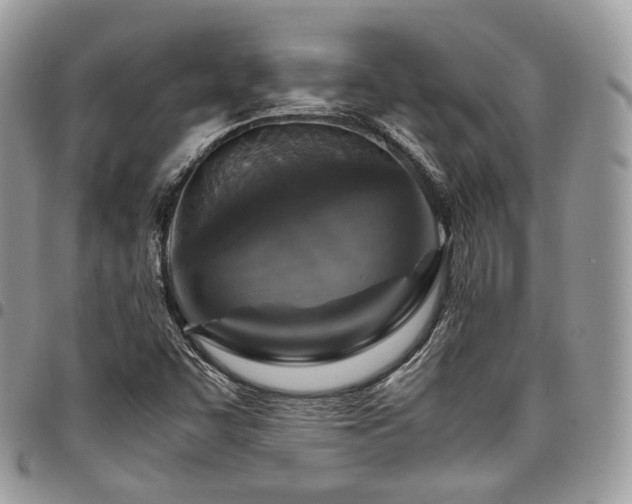 X0000098021455200803281324