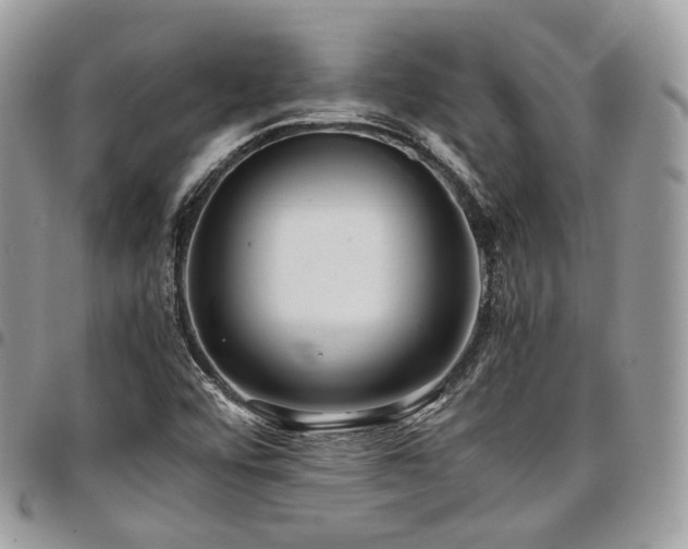 X0000098021456200803281324