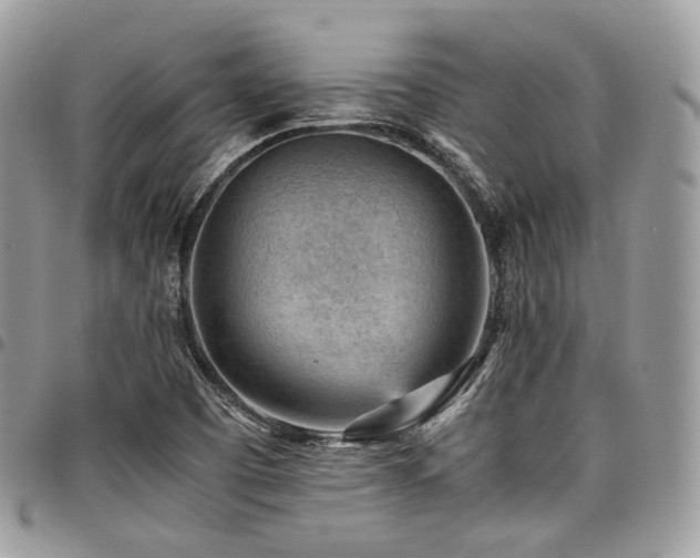 X0000098021457200803281324