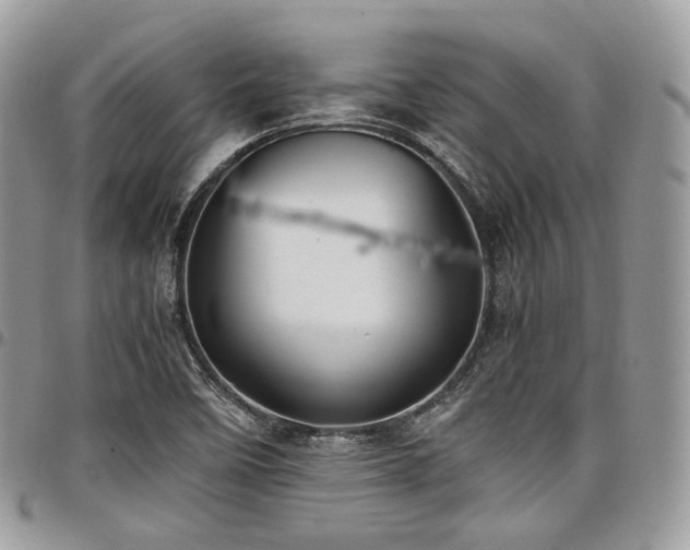 X0000098021458200803281324