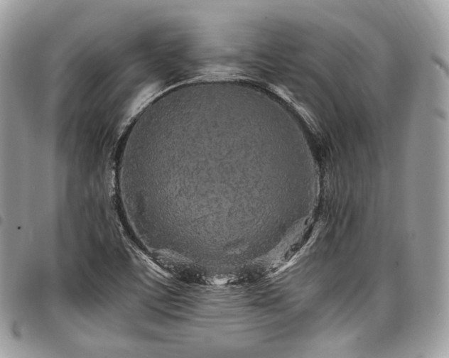 X0000098021459200803281324