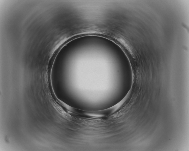 X0000098021460200803281324