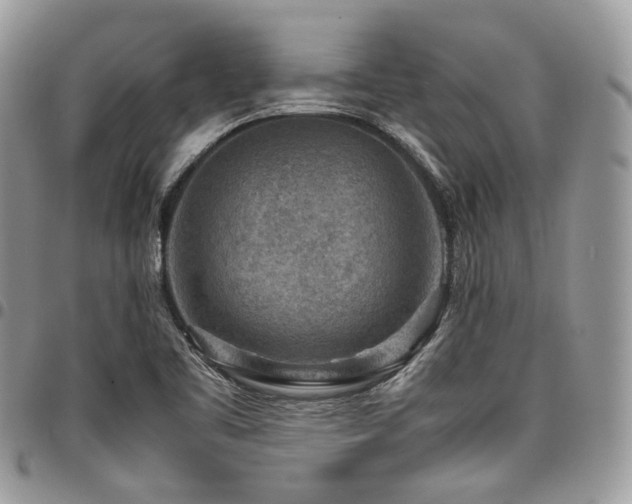 X0000098021461200803281324