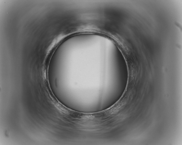 X0000098021462200803281324