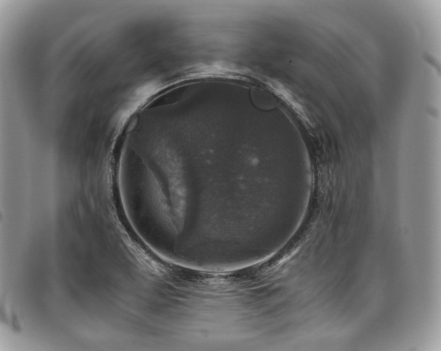 X0000098021463200803281324