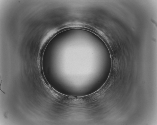 X0000098021464200803281324