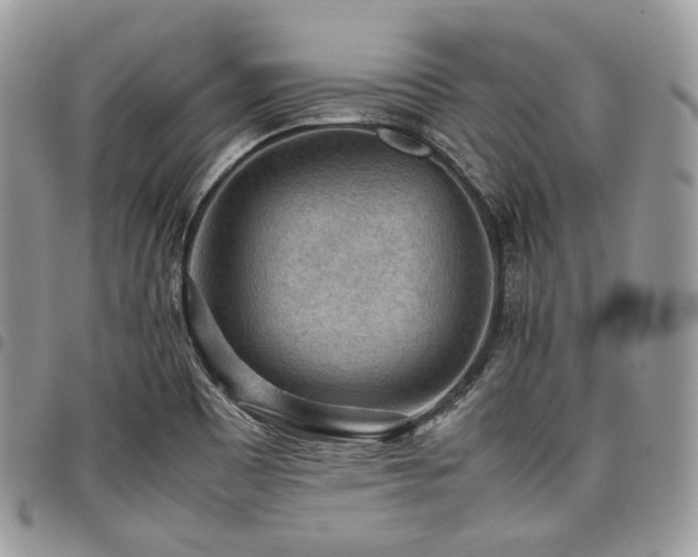 X0000098021465200803281324