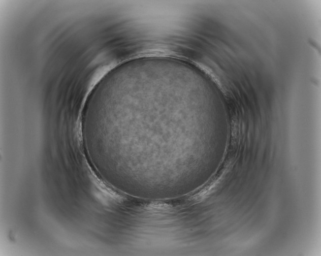 X0000098021466200803281324