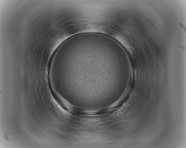 X0000098021468200803281324