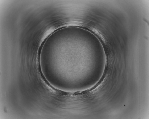 X0000098021469200803281324