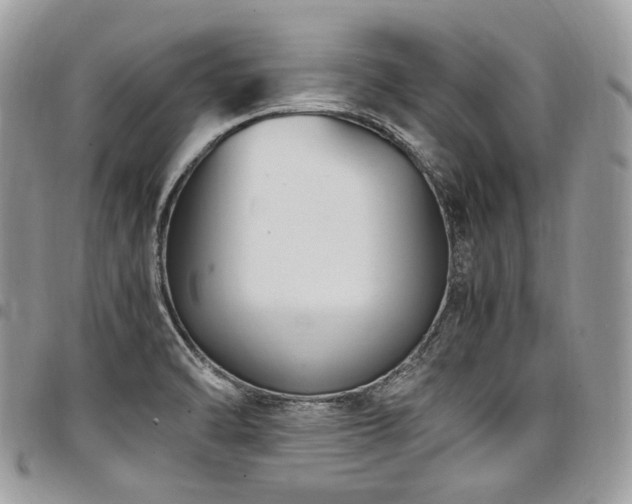 X0000098021470200803281324