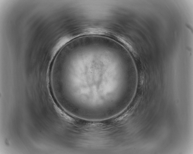 X0000098021471200803281324