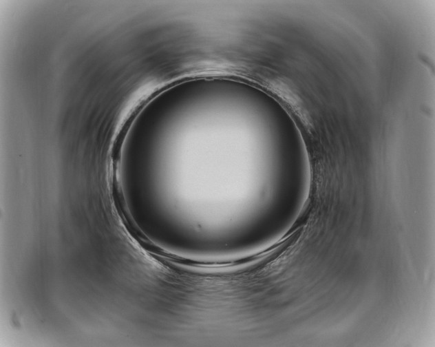 X0000098021472200803281324