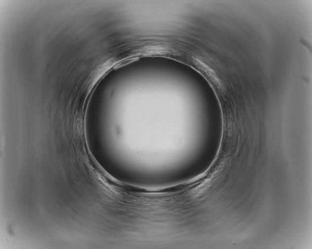 X0000098021473200803281324