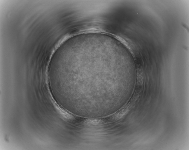 X0000098021474200803281324